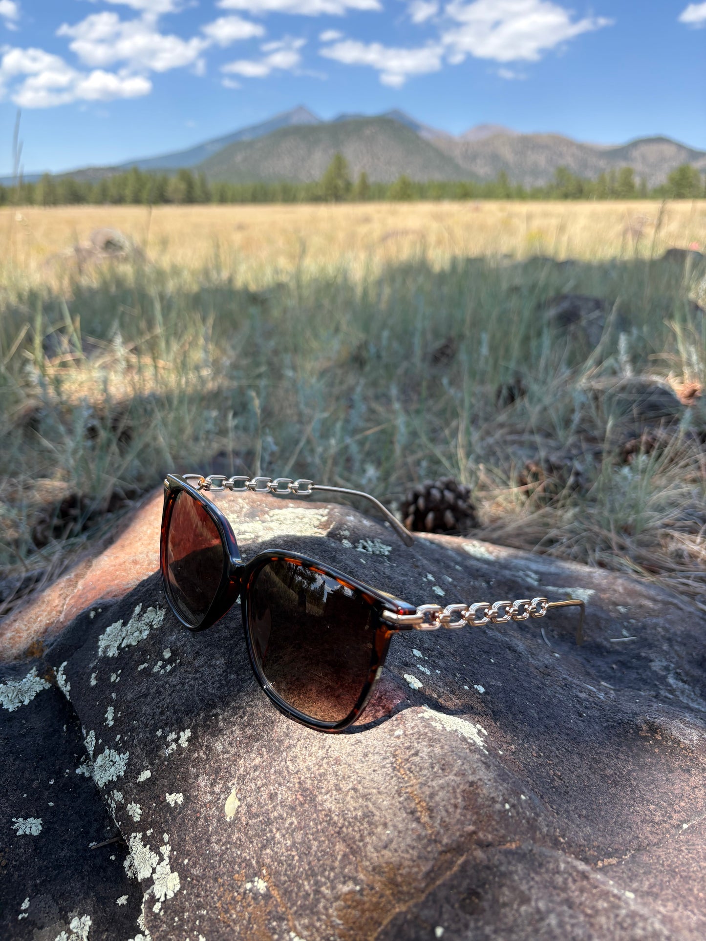 Tamera Tortoise Shell and Gold Sunglasses