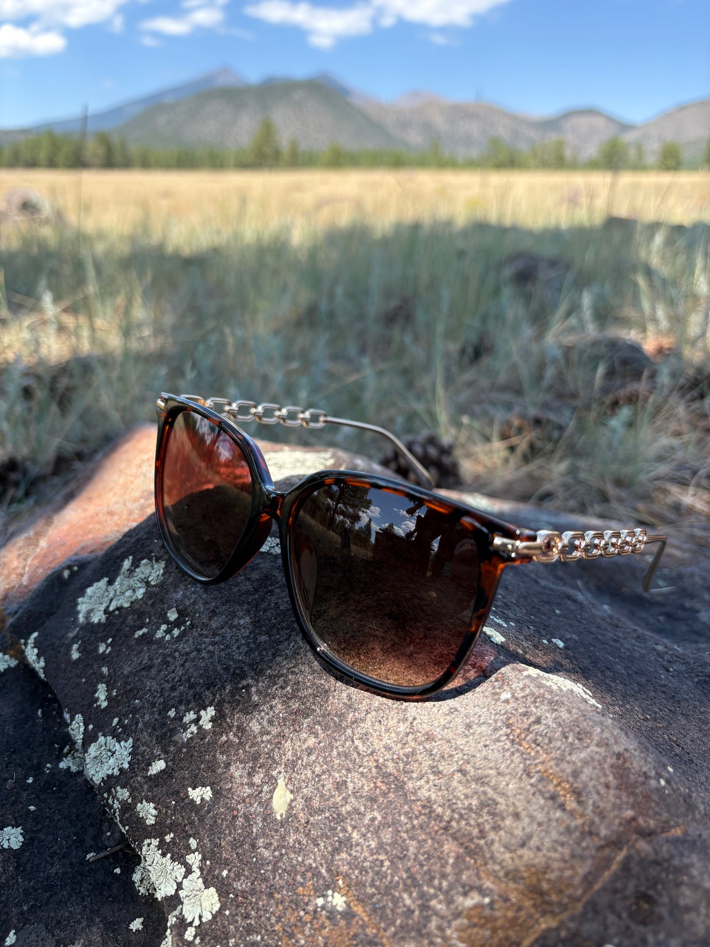 Tamera Tortoise Shell and Gold Sunglasses