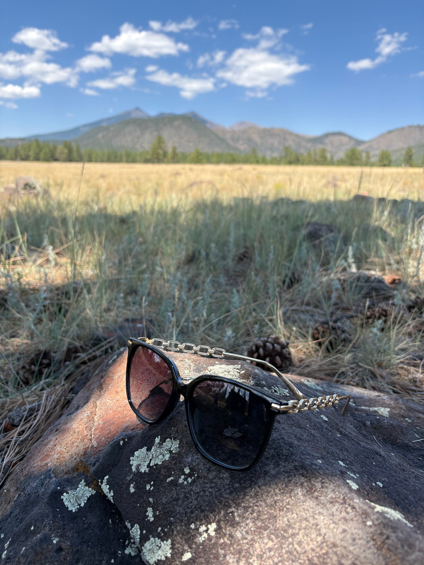 Tamera Black and Gold Sunglasses