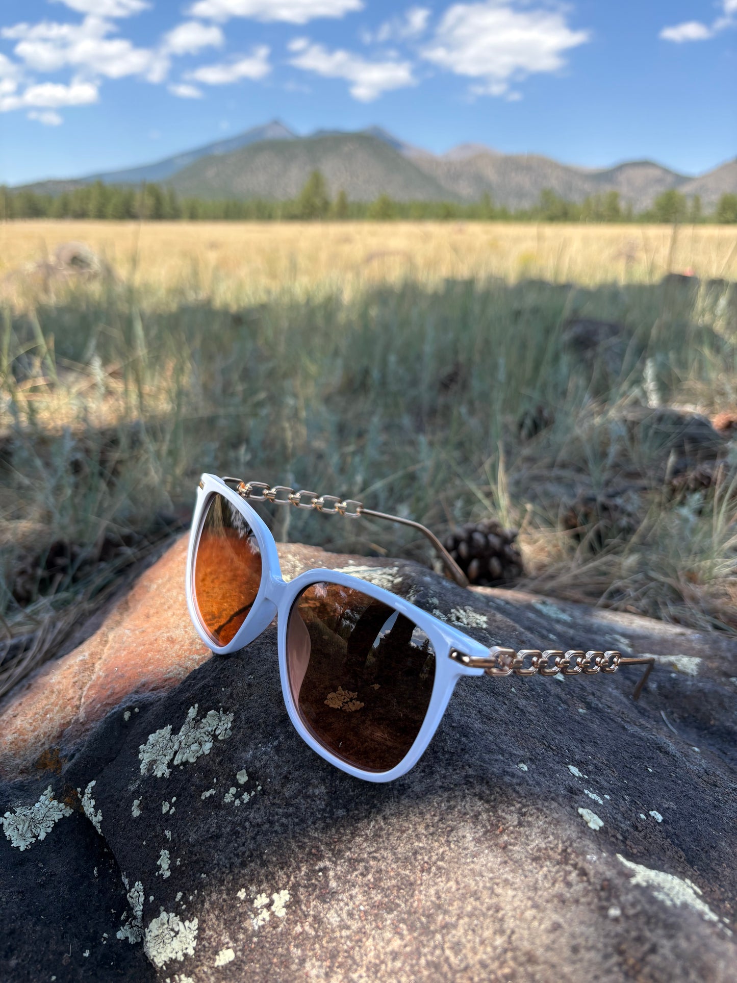 Tamera White and Gold Sunglasses