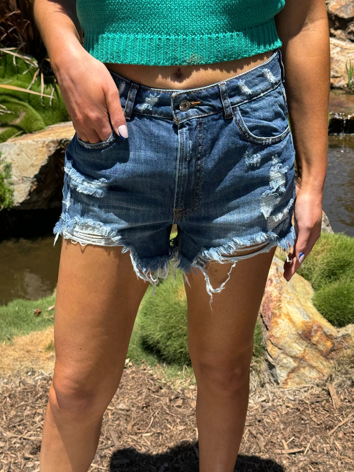 Danica High Rise Distressed Denim Shorts