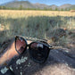 Tamera Black and Gold Sunglasses