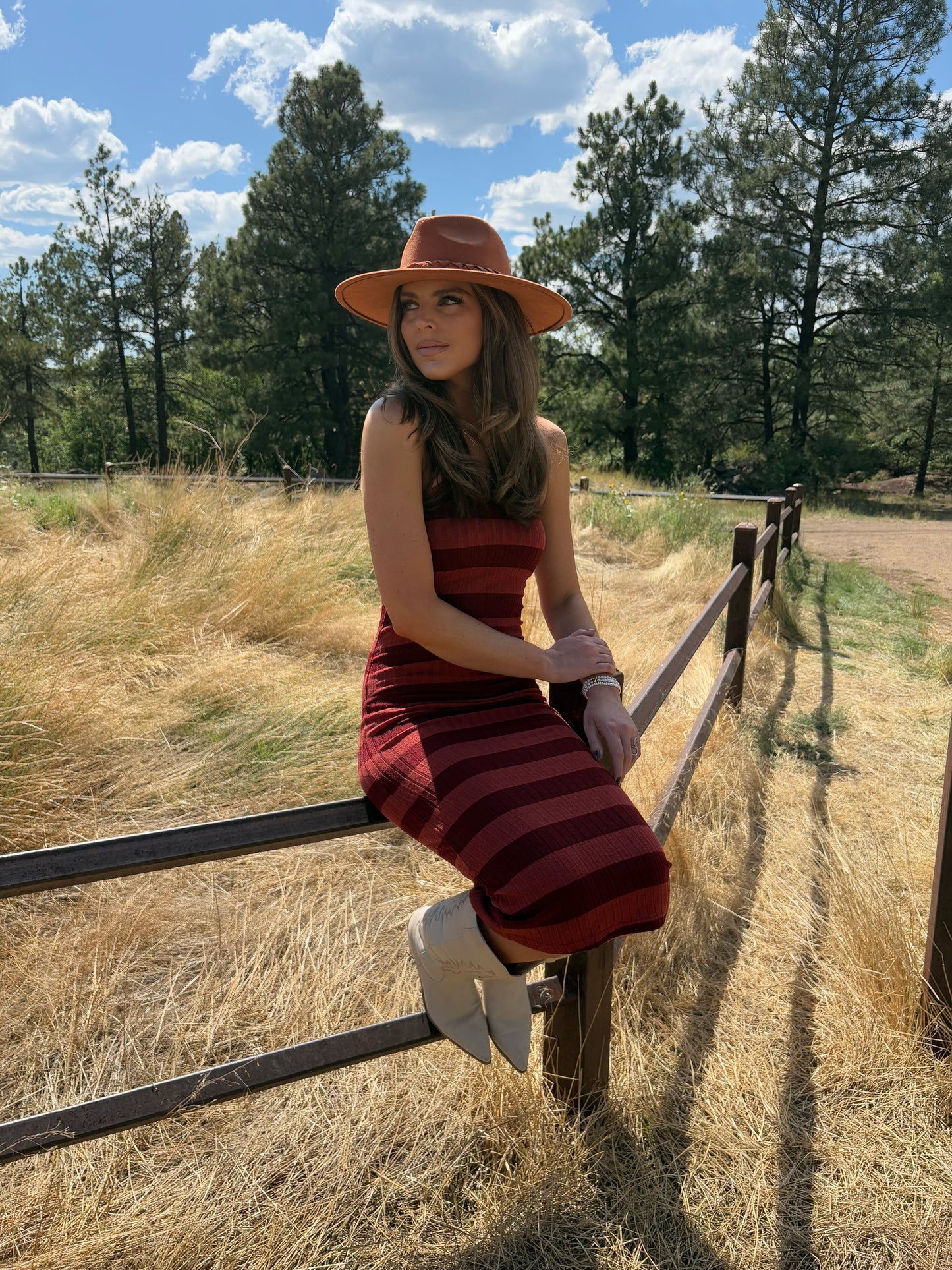 Everly Rust Striped Maxi Dress